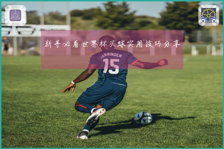 新手必看世界杯买球实用技巧分享