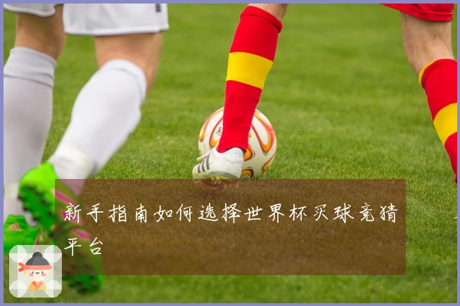新手指南如何选择世界杯买球竞猜平台