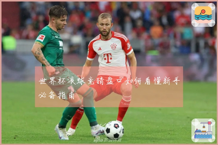 世界杯滚球竞猜盘口如何看懂新手必备指南