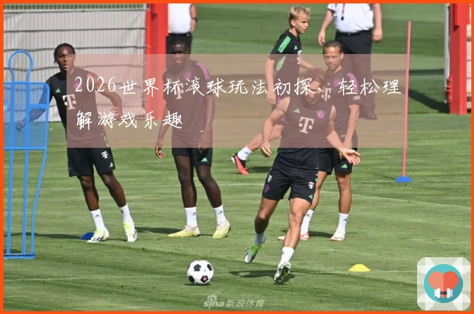 2026世界杯滚球玩法初探，轻松理解游戏乐趣