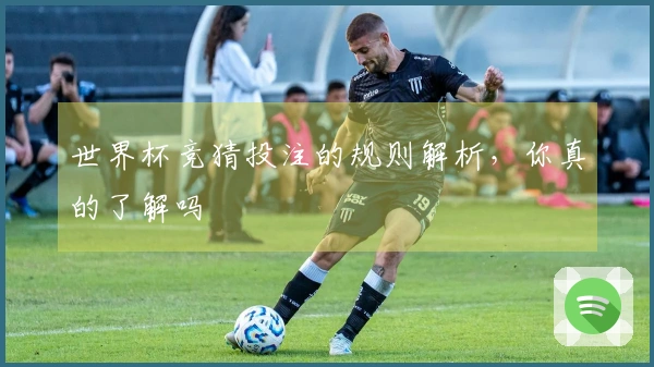 世界杯竞猜投注的规则解析，你真的了解吗