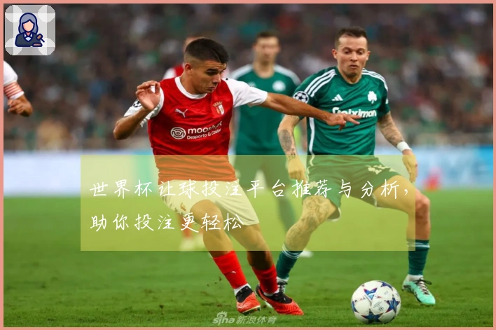 世界杯让球投注平台推荐与分析，助你投注更轻松