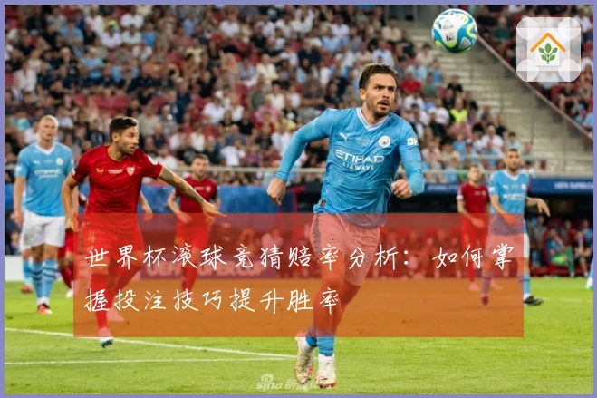 世界杯滚球竞猜赔率分析：如何掌握投注技巧提升胜率