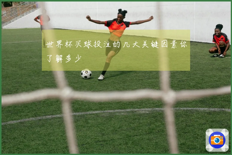 世界杯买球投注的几大关键因素你了解多少