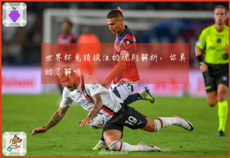 世界杯竞猜投注的规则解析，你真的了解吗
