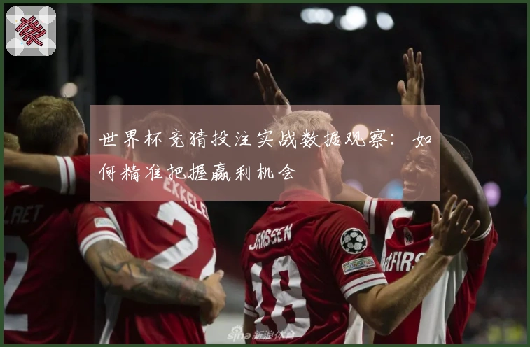 世界杯竞猜投注实战数据观察：如何精准把握赢利机会