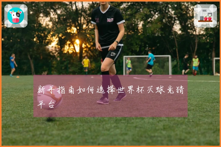 新手指南如何选择世界杯买球竞猜平台
