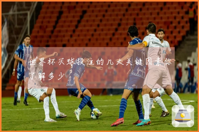 世界杯买球投注的几大关键因素你了解多少